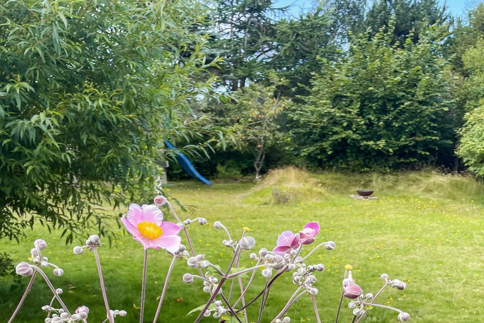 6 persoons vakantie huis in Græsted-By Traum-Buitenlucht