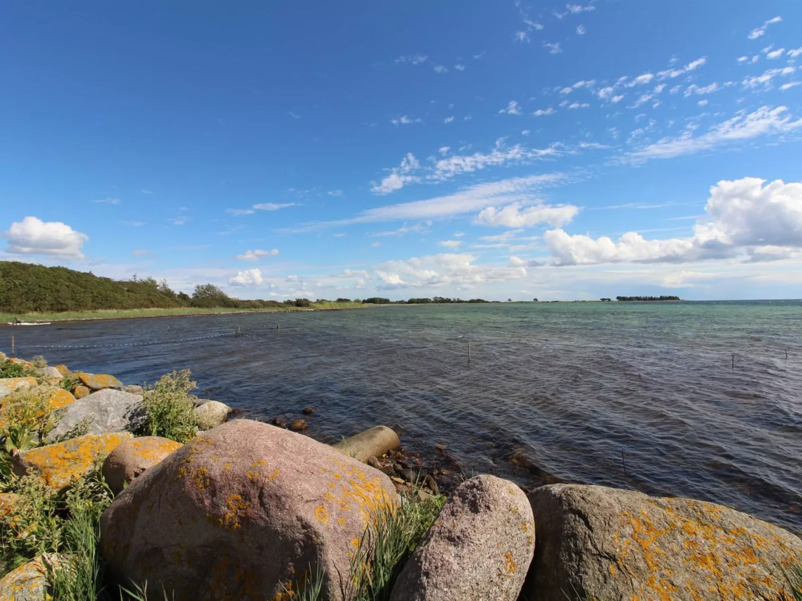 "Wrage" - 500m from the sea