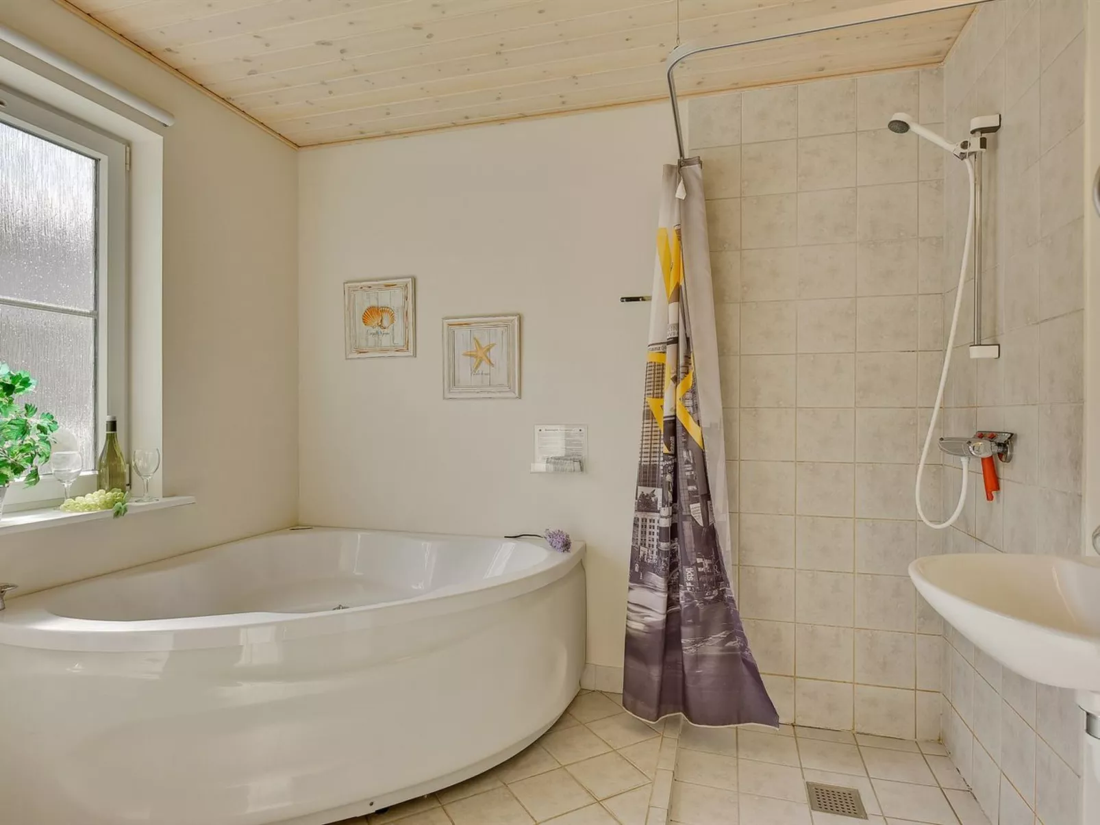 "Fausta" - 150m to the fjord