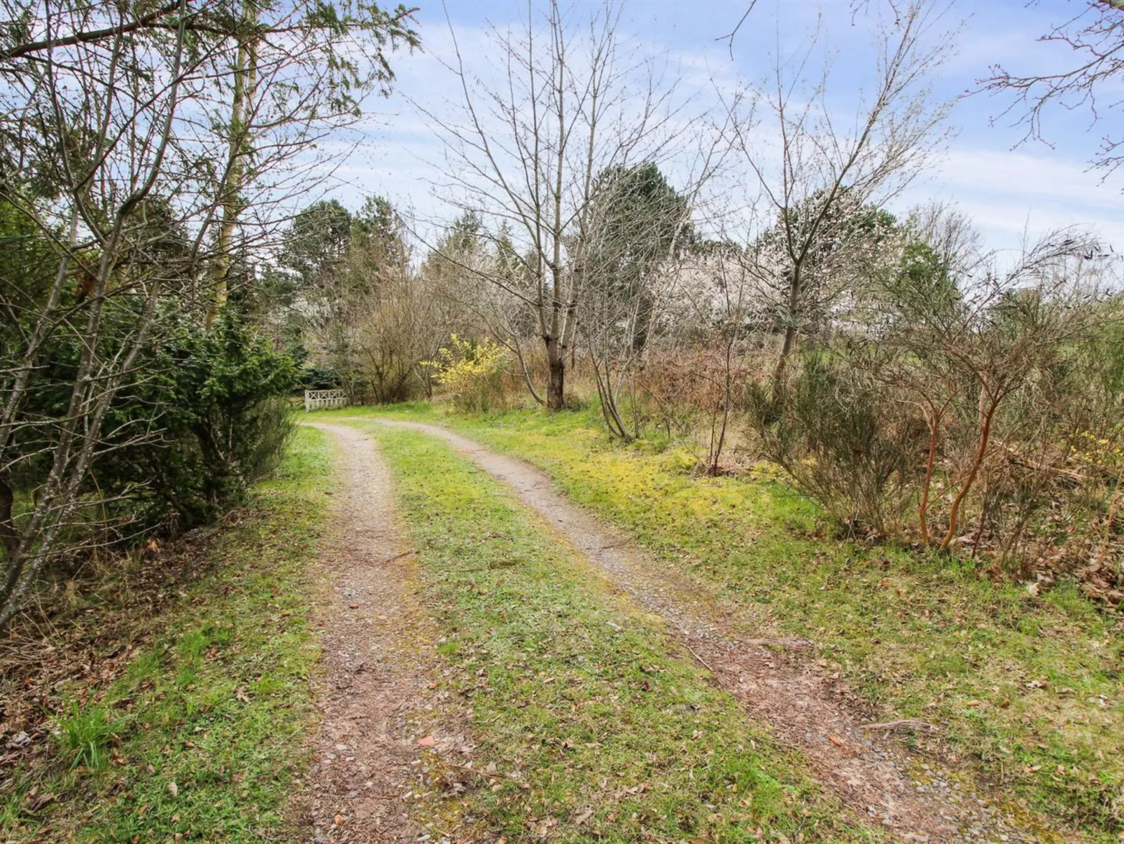 "Rakita" - 550m from the sea