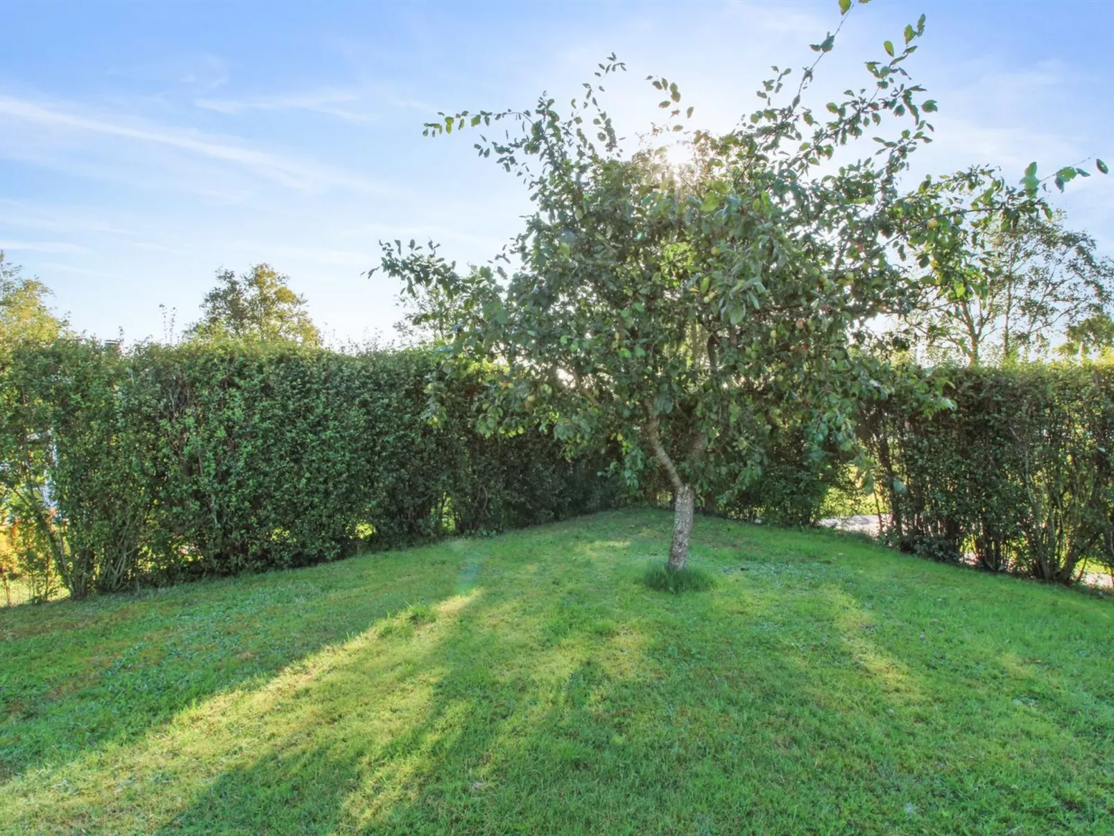 "Simjanka" - 600m from the sea