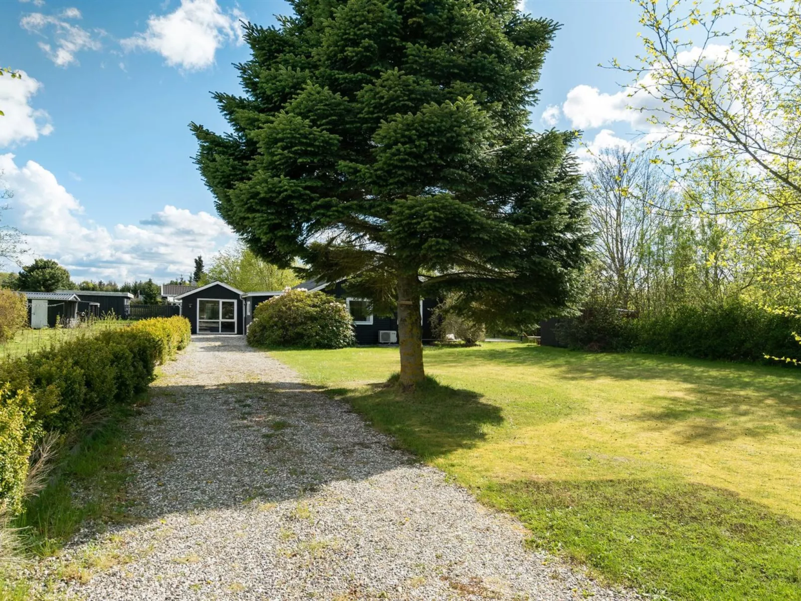 "Akira" - 500m to the fjord