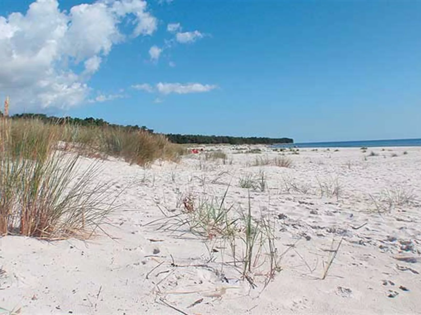 "Nis" - 200m from the sea