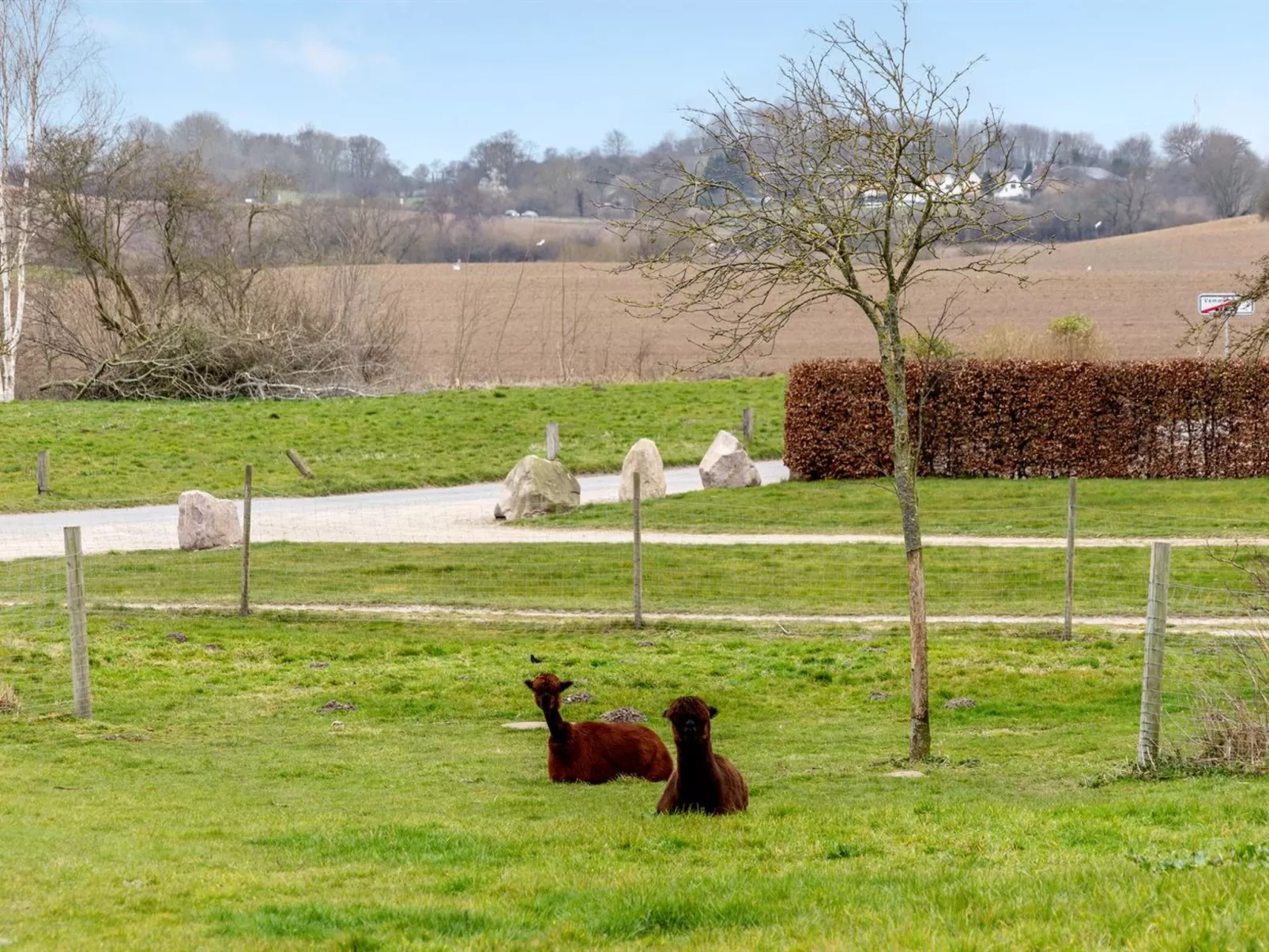 "Aloisia" - 300m from the sea