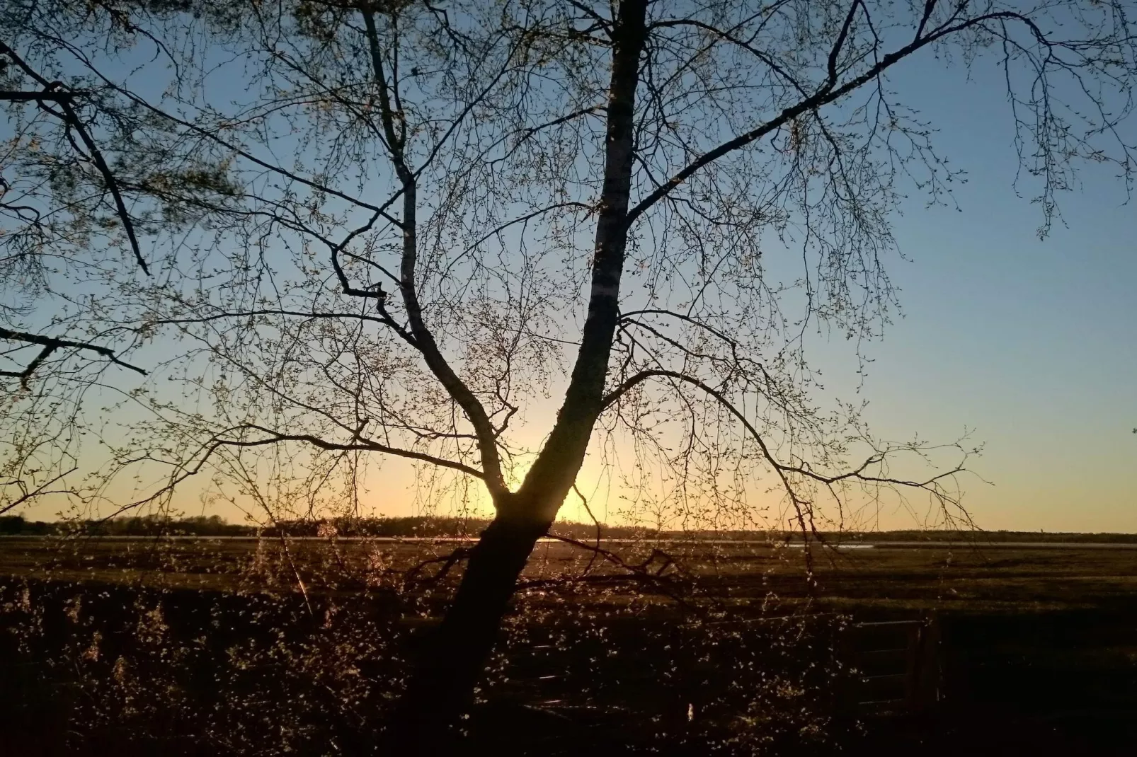 6 persoons vakantie huis in HAMMARÖ-By Traum