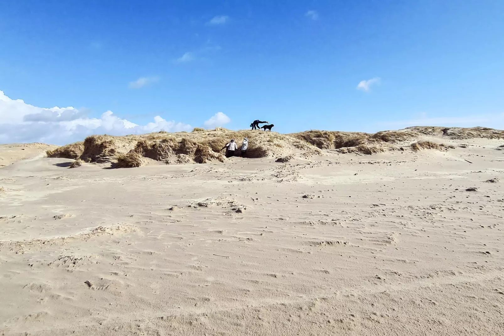 4 persoons vakantie huis in Fanø-By Traum