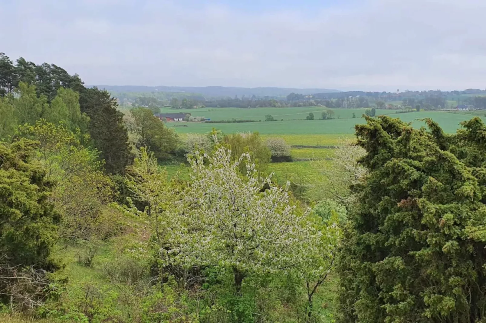 6 persoons vakantie huis in BÅSTAD-By Traum