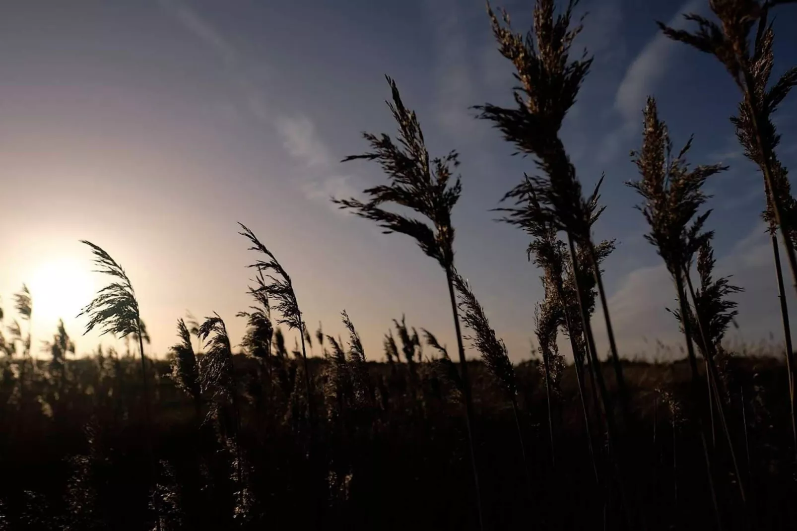 8 persoons vakantie huis in Hals-By Traum-Niet-getagd