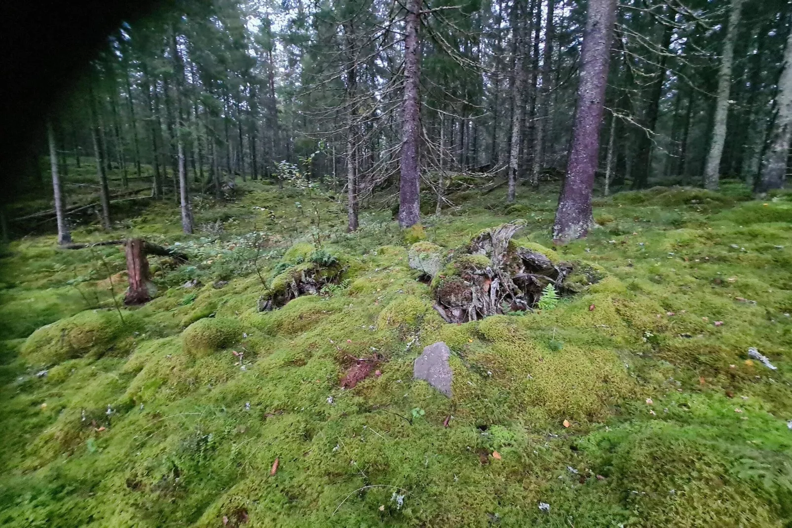 2 persoons vakantie huis in APLARED-By Traum-Niet-getagd