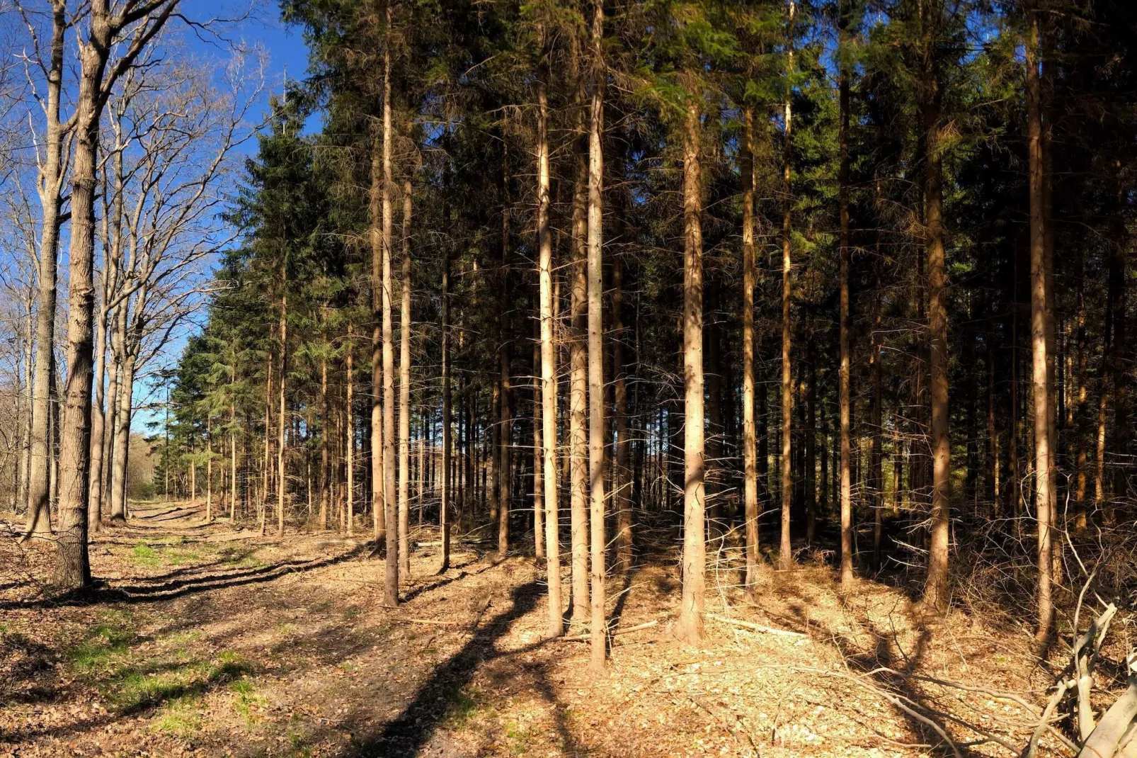 5 persoons vakantie huis in Karrebæksminde-Niet-getagd