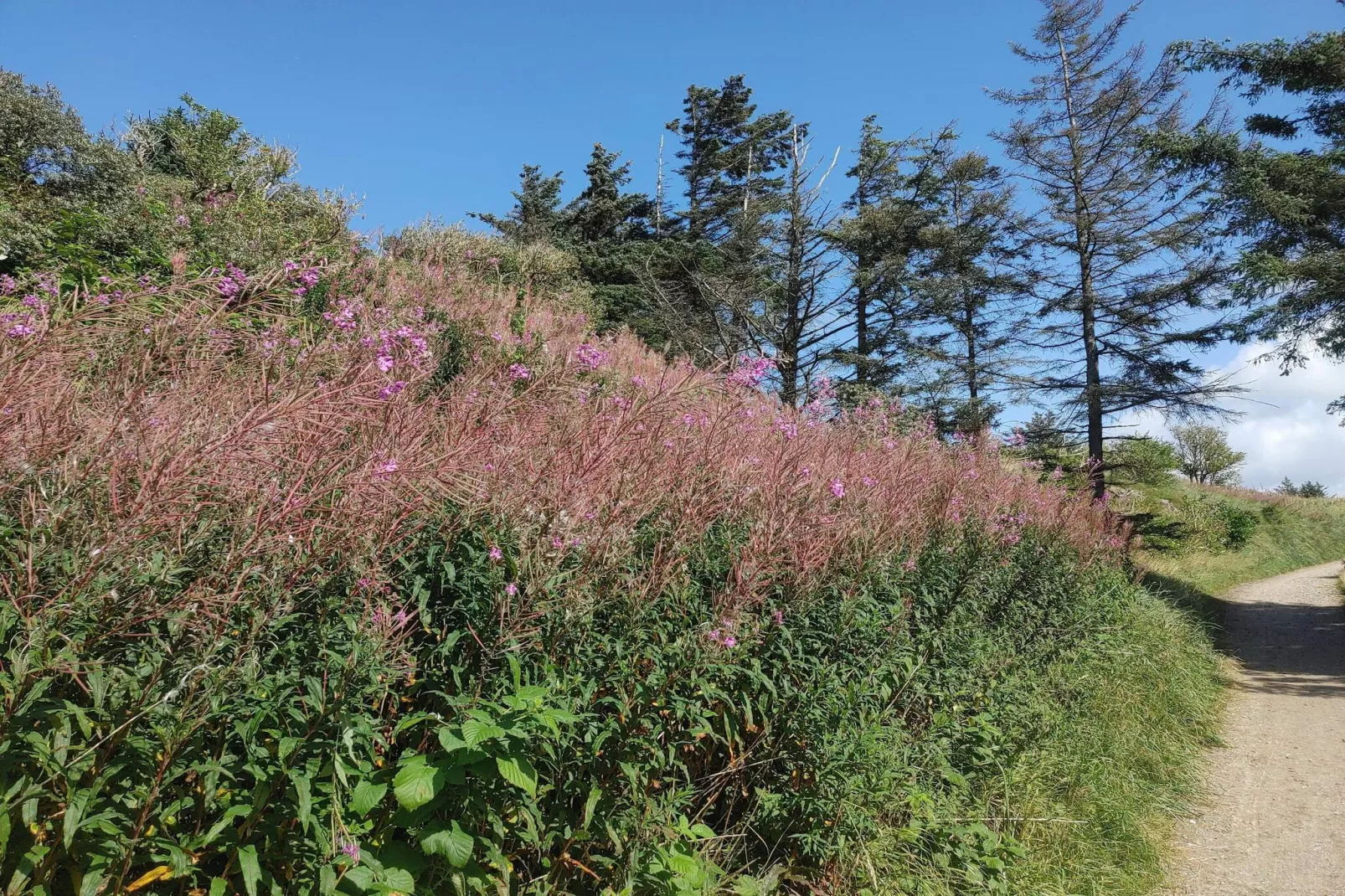 6 persoons vakantie huis in Hjørring