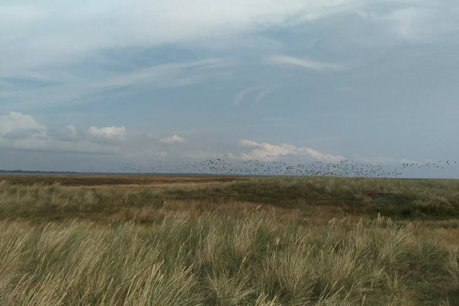 4 persoons vakantie huis in Rødby-By Traum