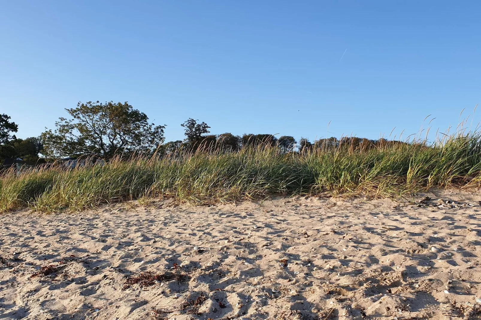 8 persoons vakantie huis in Aabenraa-By Traum