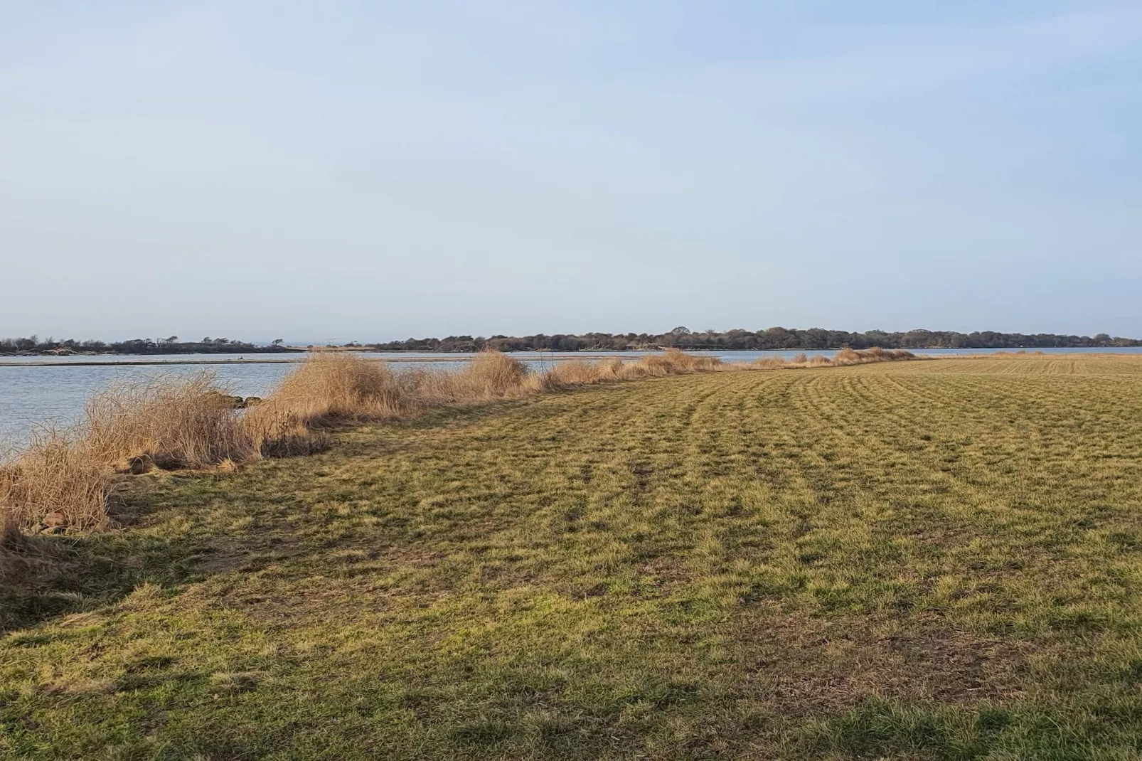 6 persoons vakantie huis in Guldborg-By Traum