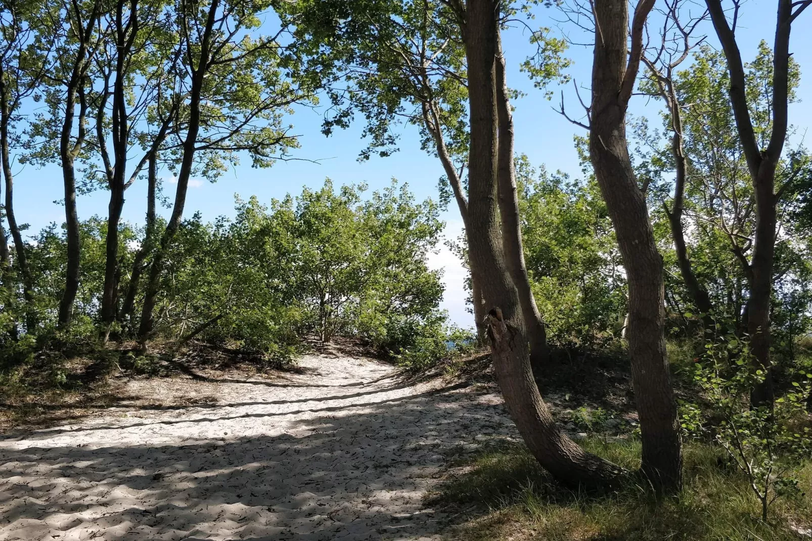 3 persoons vakantie huis in HUNVIGAN-By Traum-Niet-getagd