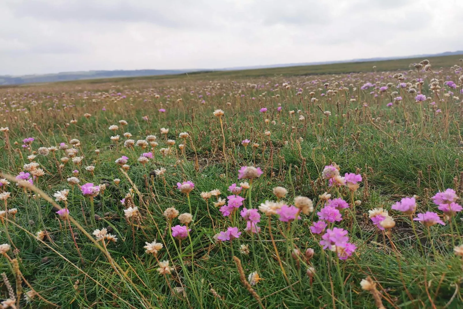 8 persoons vakantie huis in Lemvig-By Traum