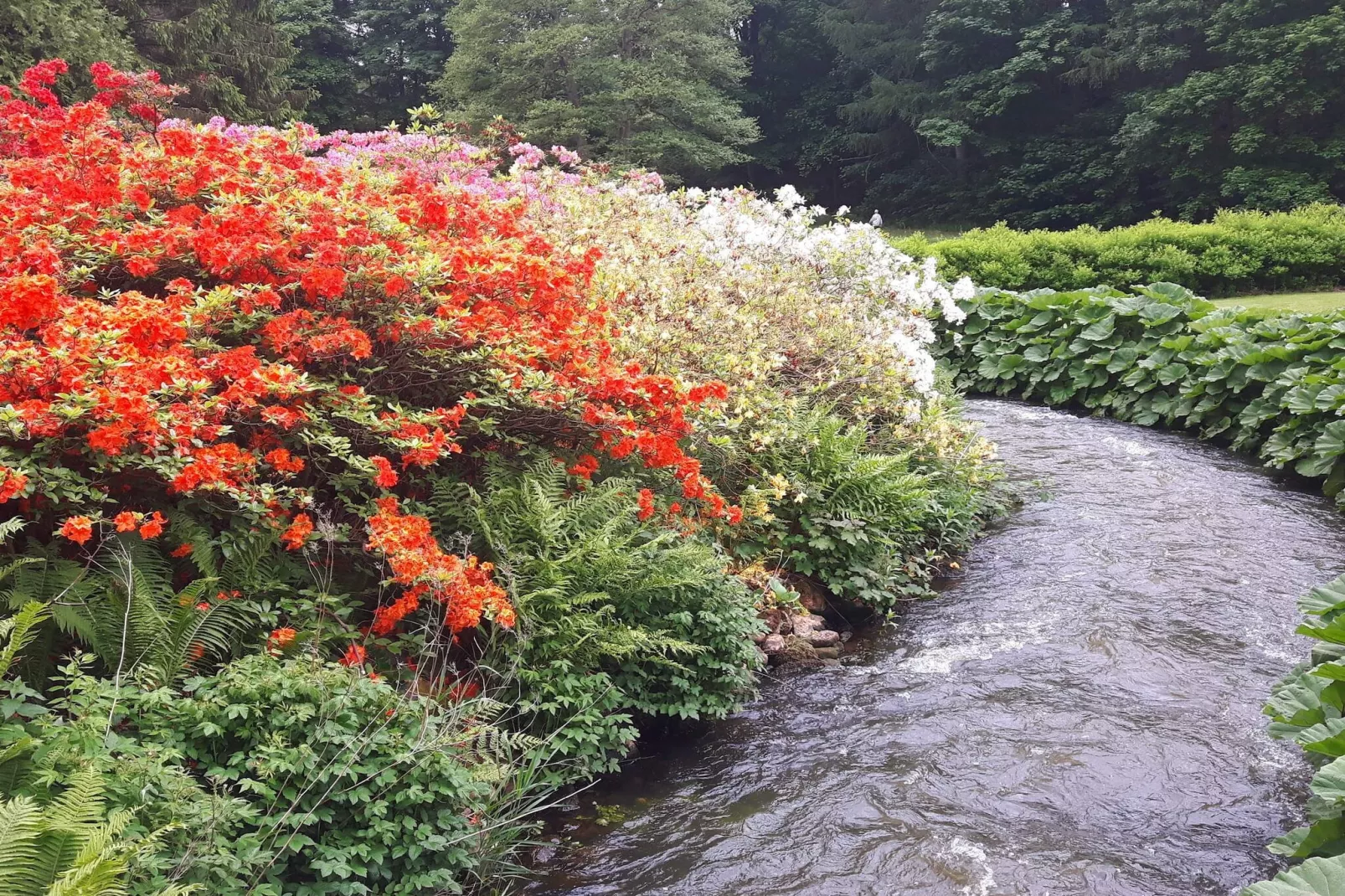 Meerzicht Juweel in Skarrild -- By Traum Ferienwohnungen