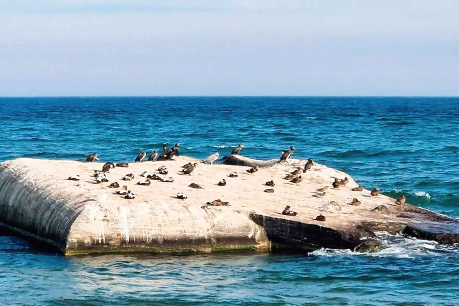 5 sterren vakantie huis in Skagen-By Traum