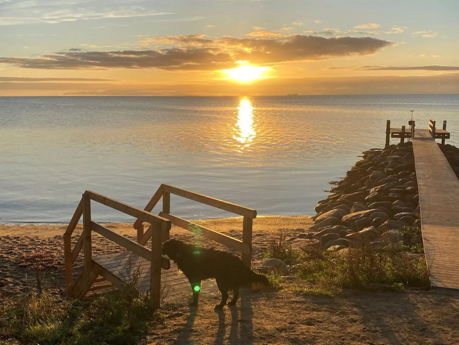 "Alpa" - 600m from the sea