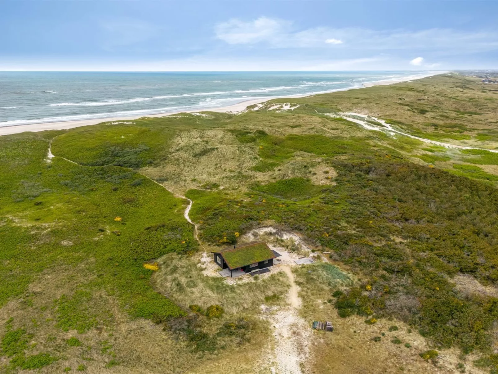 "Apolina" -  from the sea