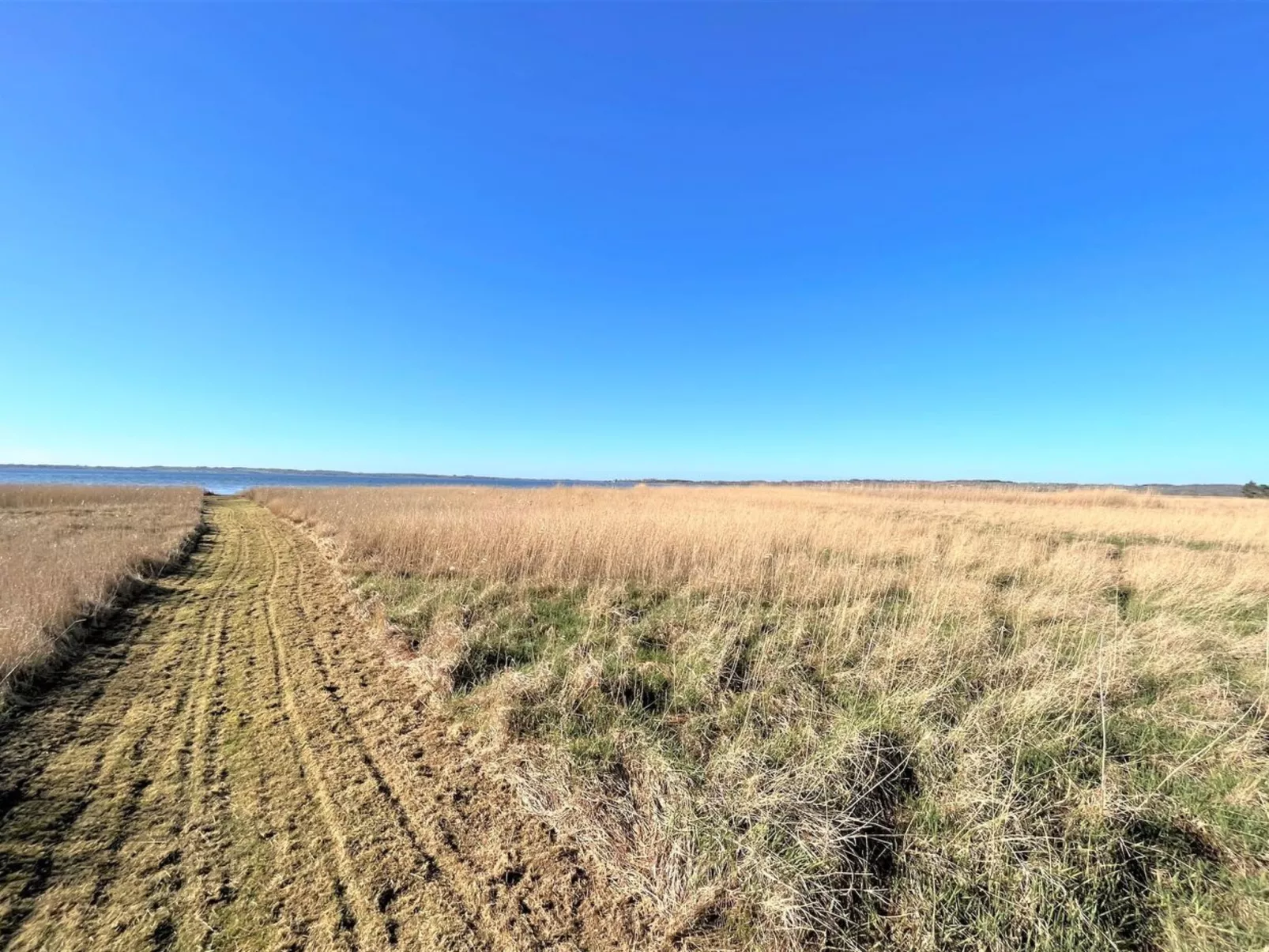 "Vemund" - 100m to the fjord