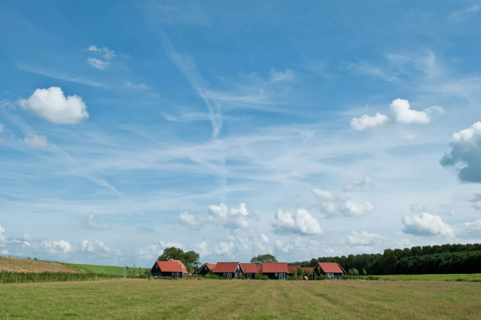 Recreatiepark de Stelhoeve 3-Gebieden zomer 1km