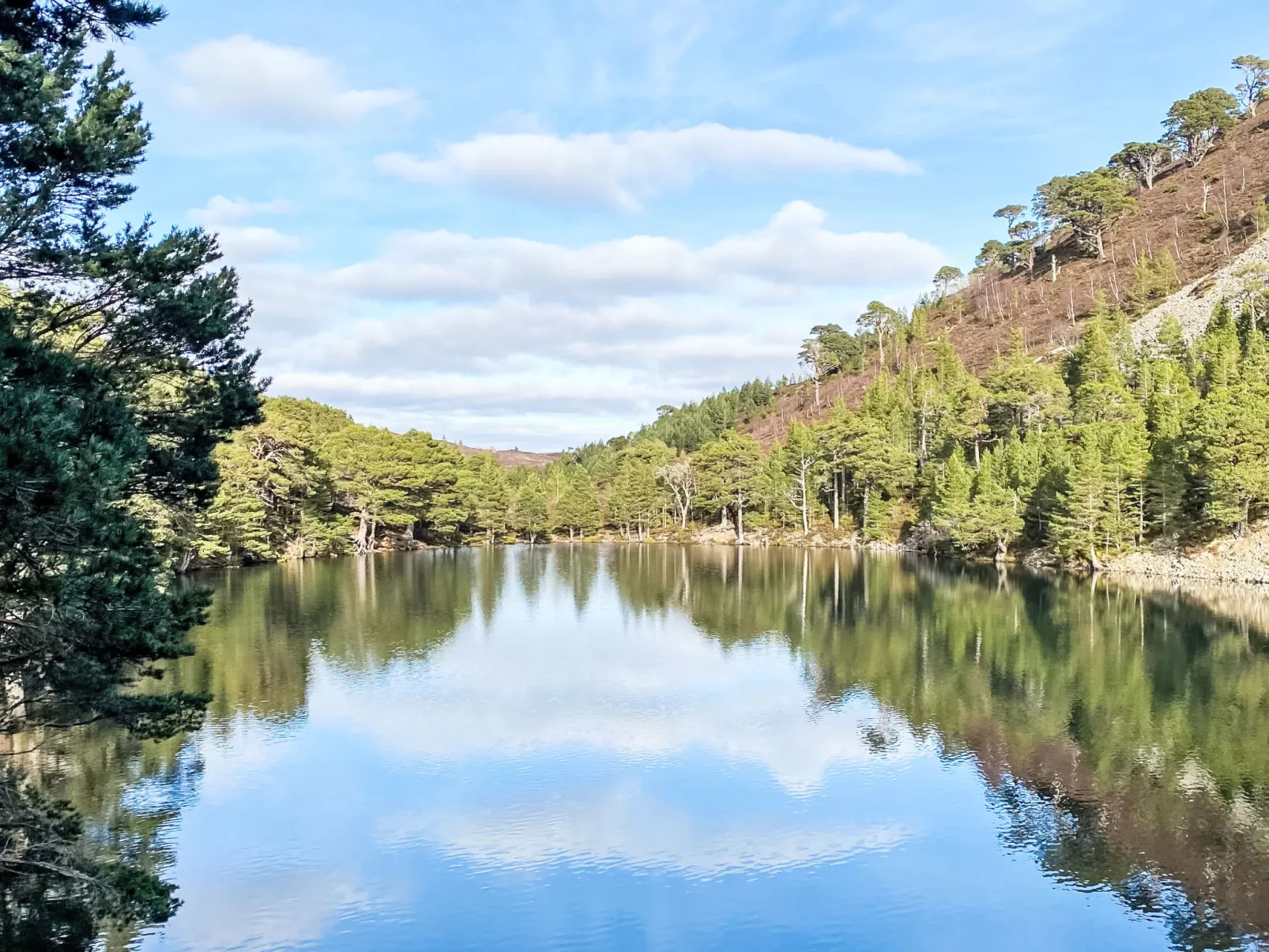 Craigmore Lodge-Omgeving