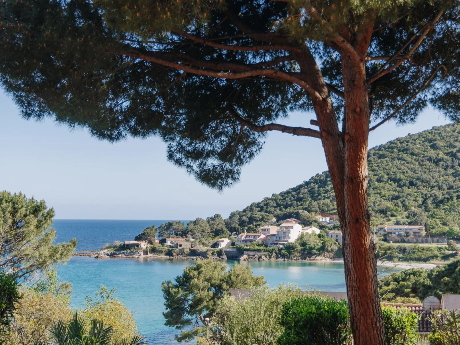 Le Télémaque 2 pièces Mezzanine
