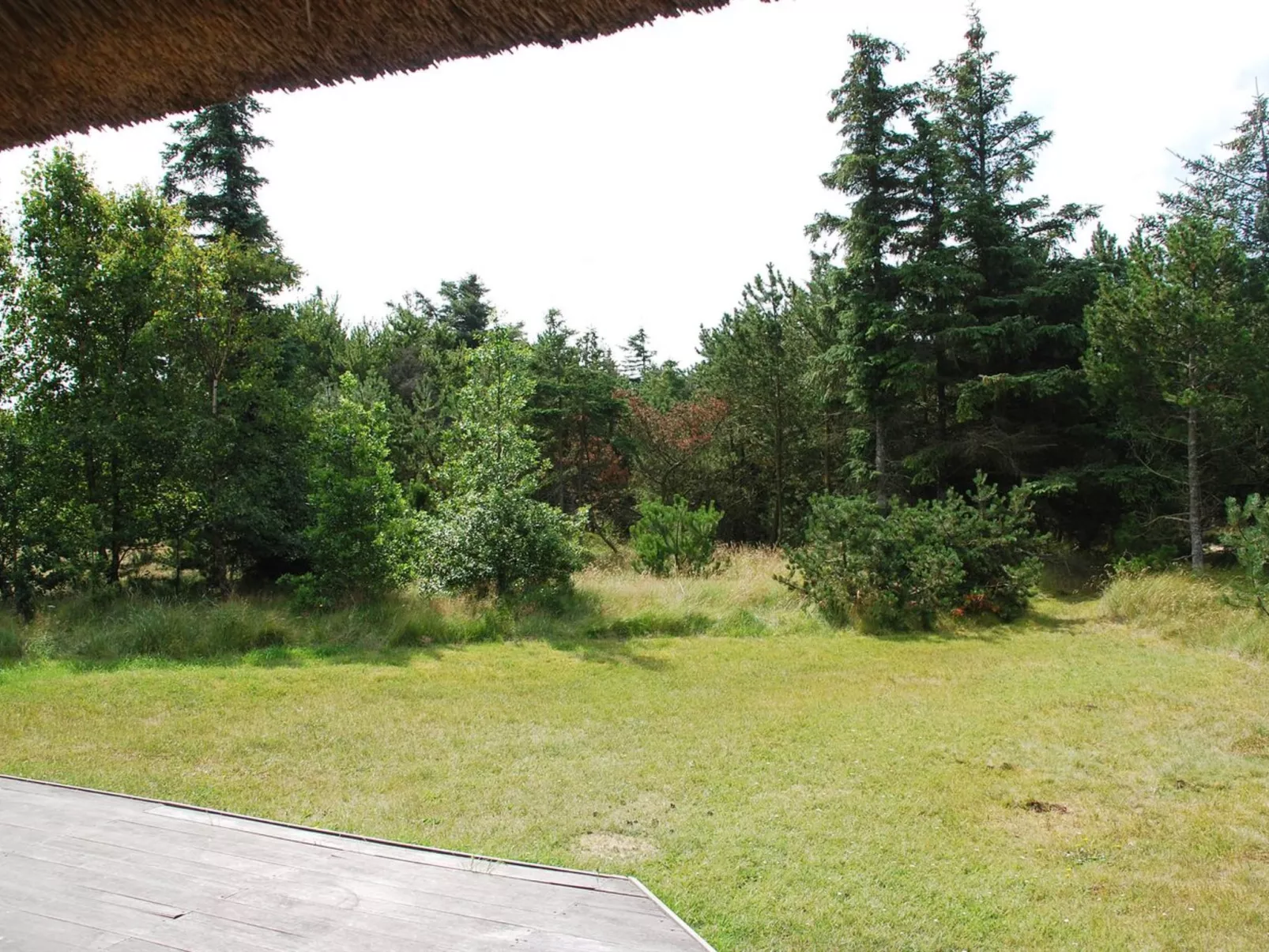 "Akeleje" - 900m from the sea