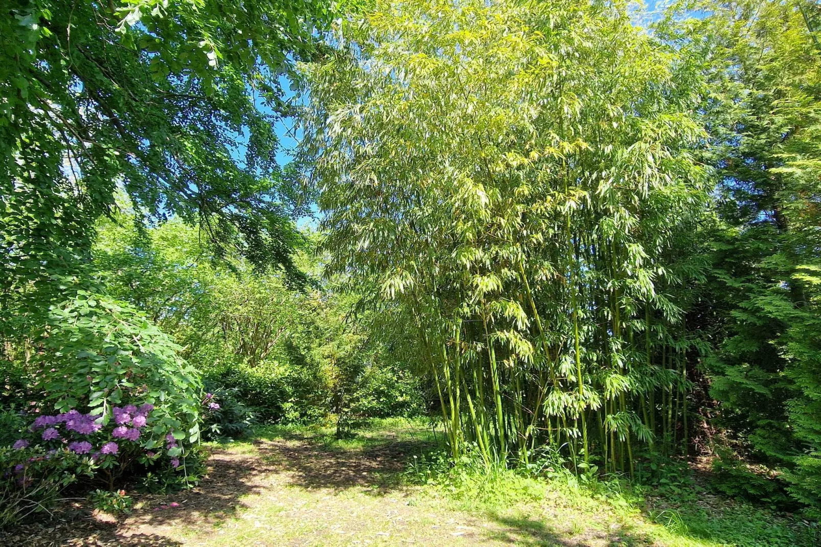 Gezellig toevluchtsoord bij Koge Bay -- By Traum Ferienwohnungen