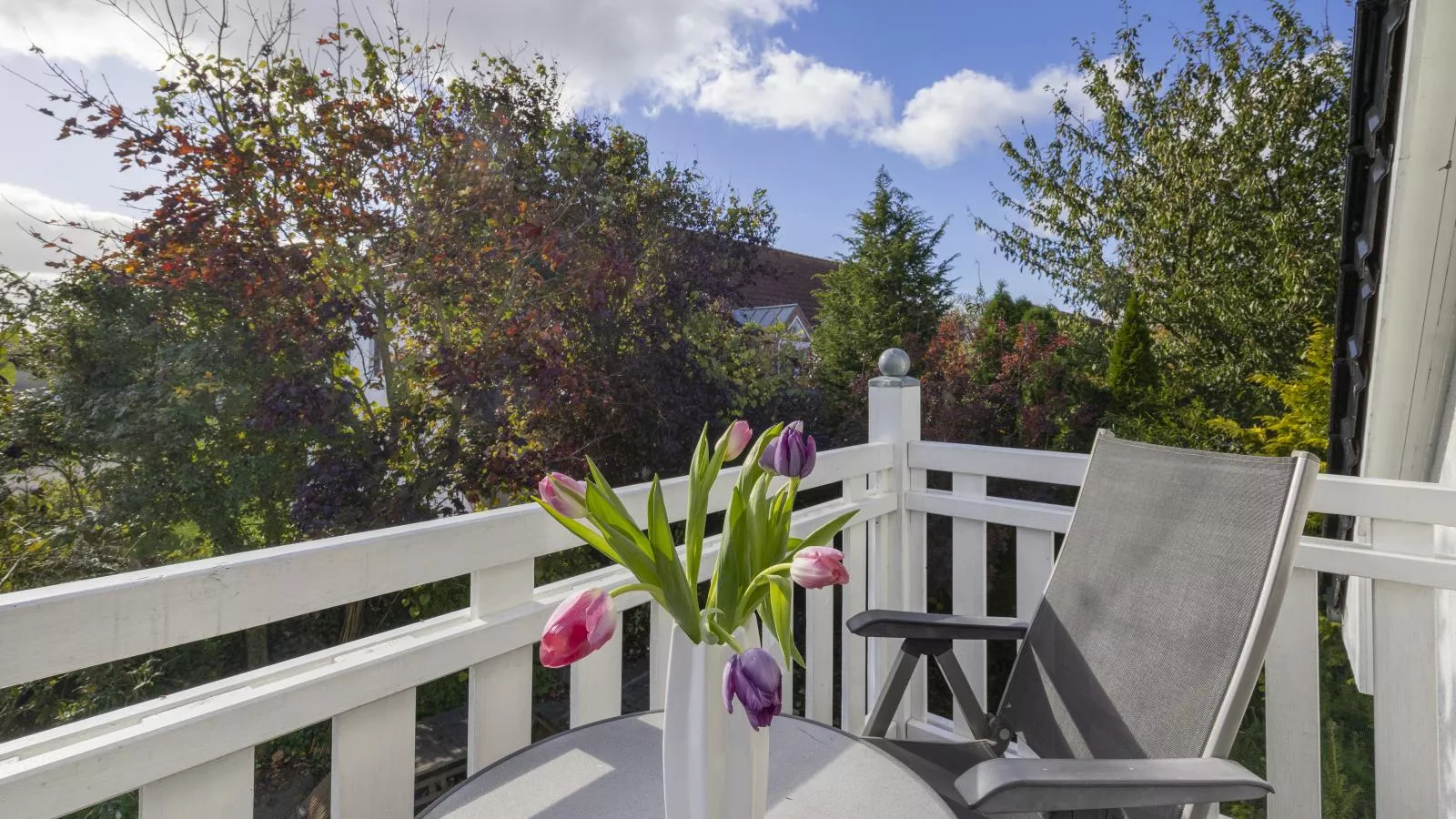 Nordlicht - Windjammer