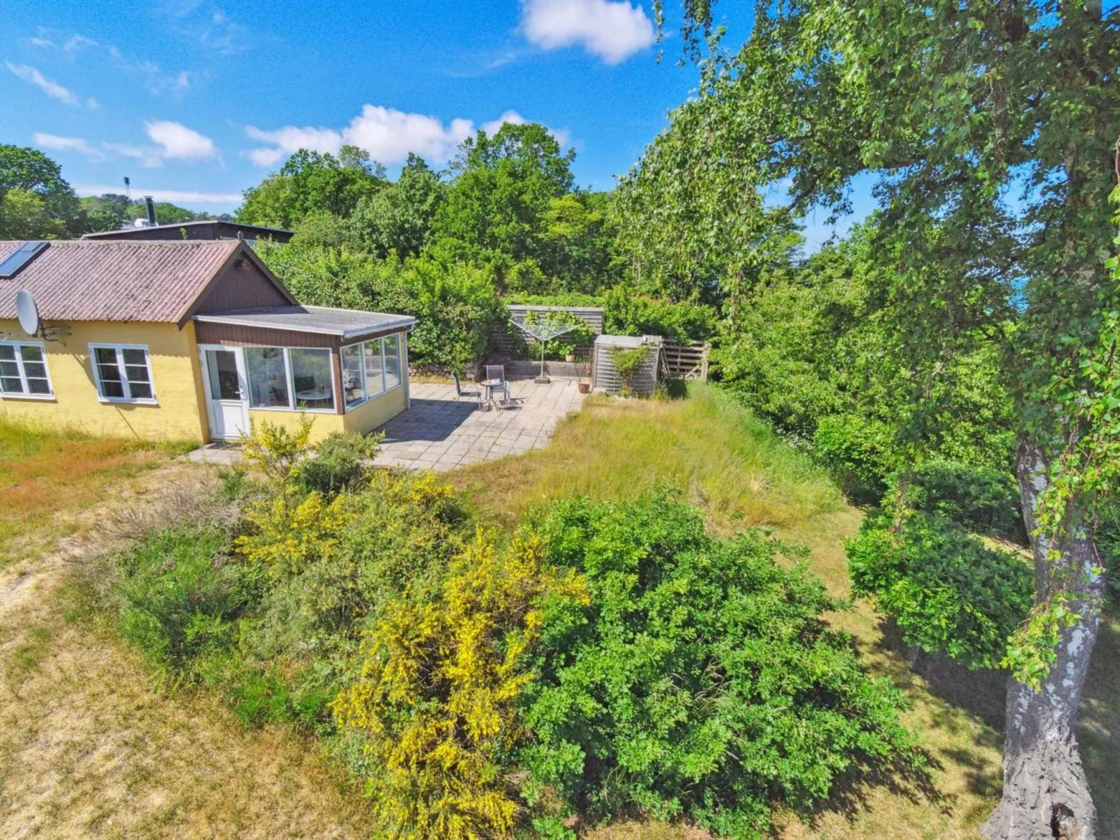 "Throtti" - 50m from the sea