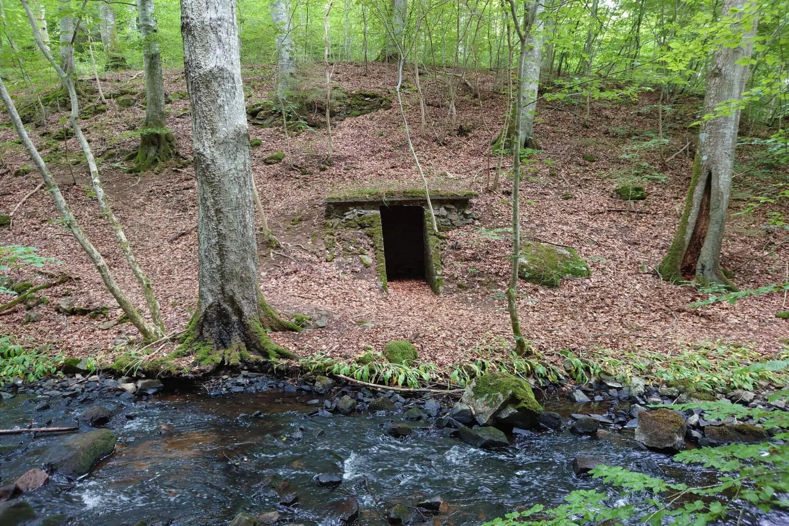 4 sterren vakantie huis in Gärsnäs-Niet-getagd