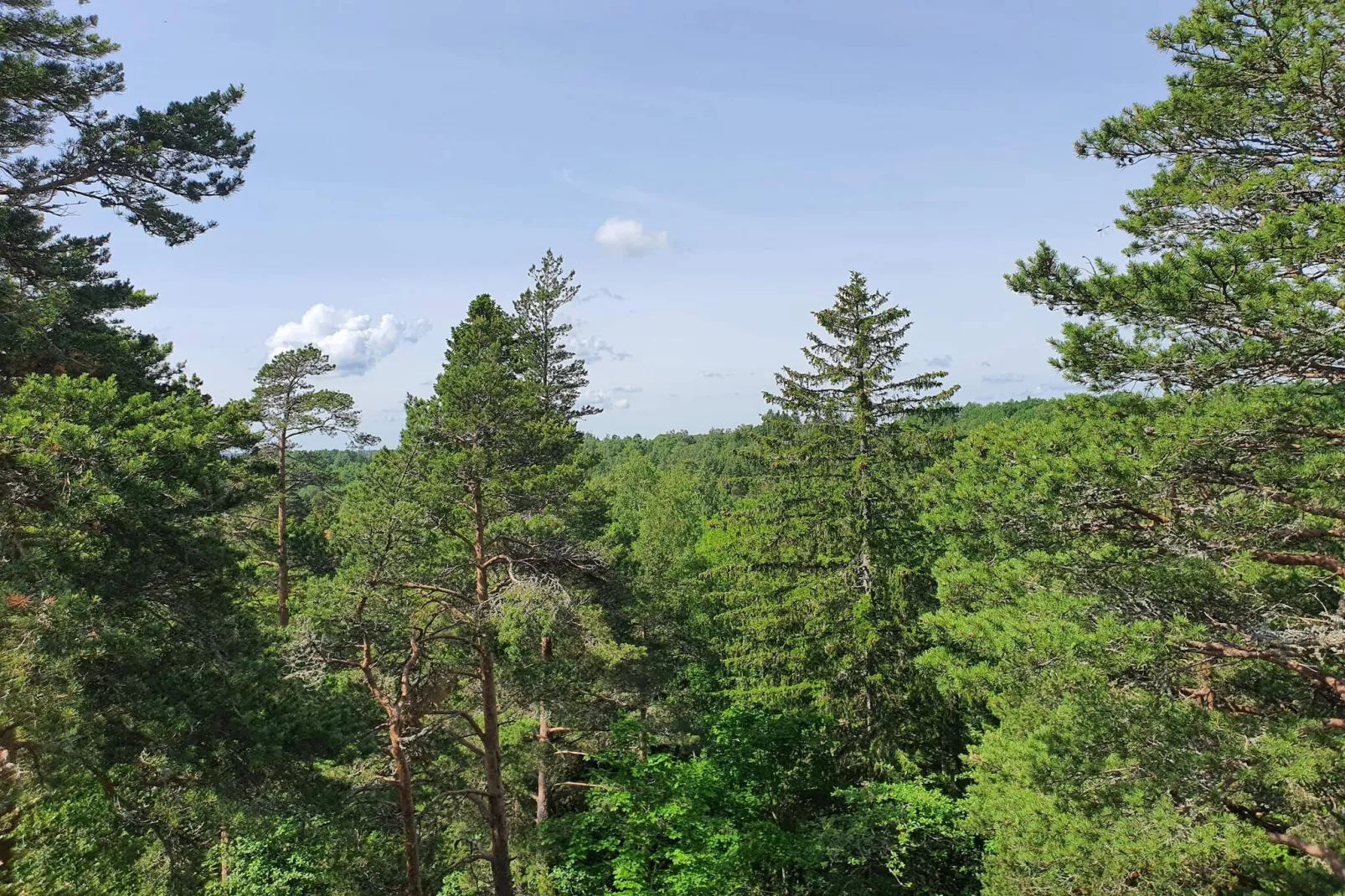 4 persoons vakantie huis in DALS ROSTOCK-Niet-getagd