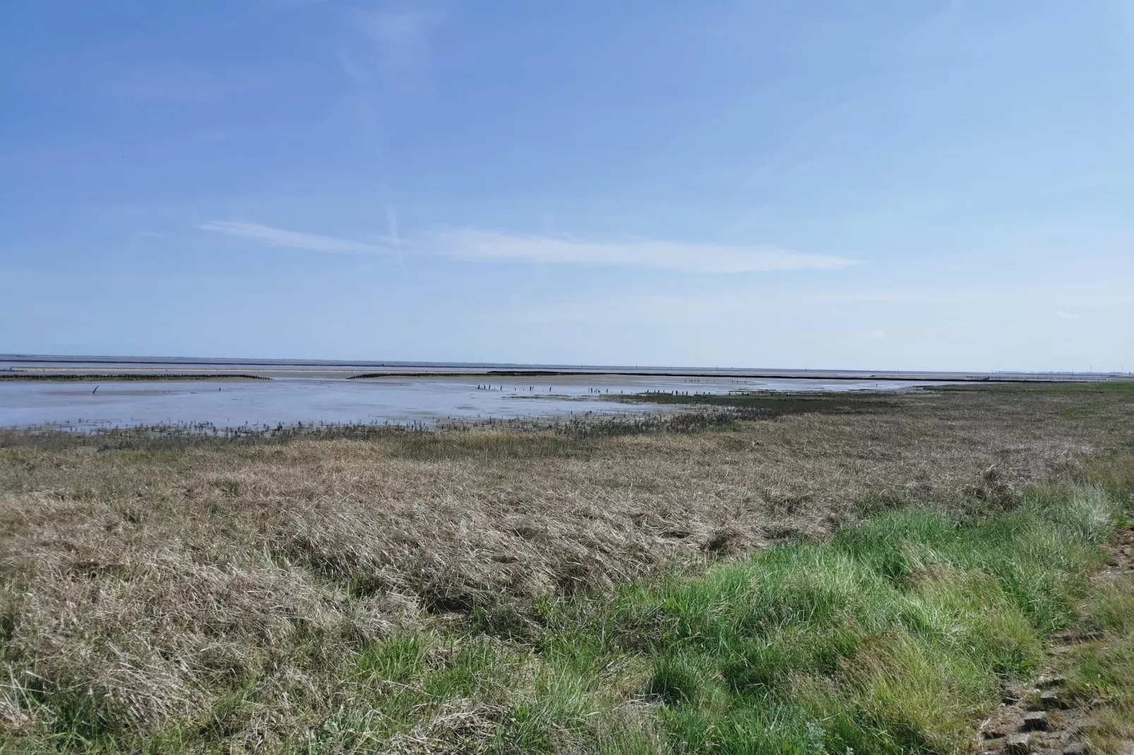 Doppelhaushälfte Wattwurm 34-Gebieden zomer 5km