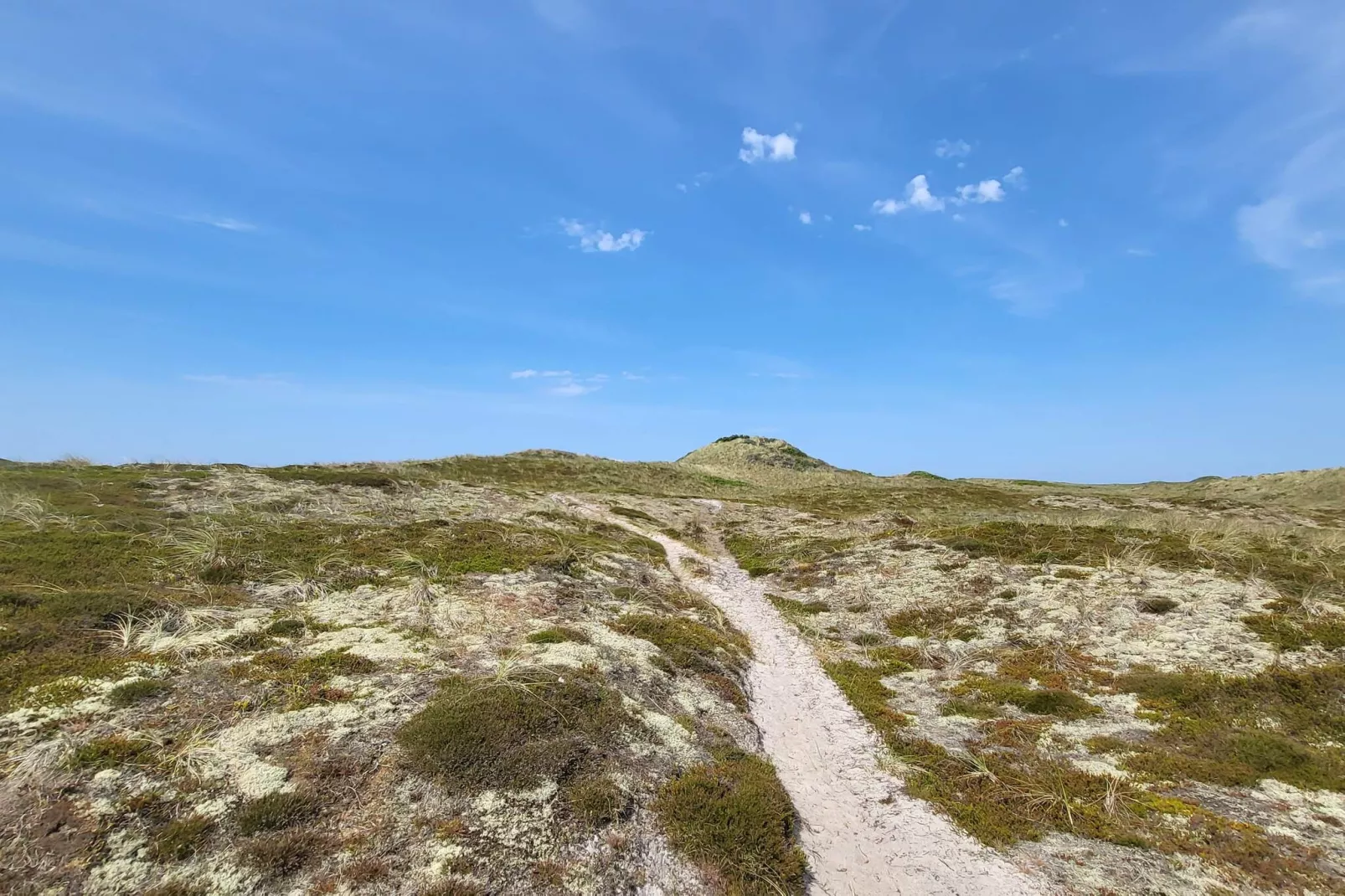 5 Personen vakantie huis in Thisted-By Traum-Niet-getagd