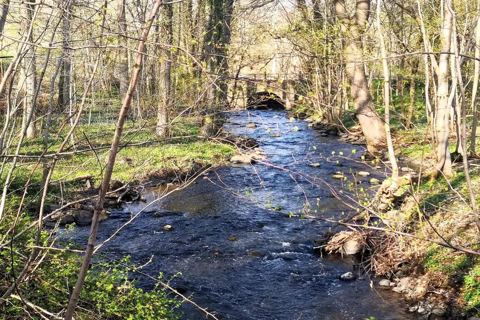 5 sterren vakantie huis in Faaborg-Waterzicht