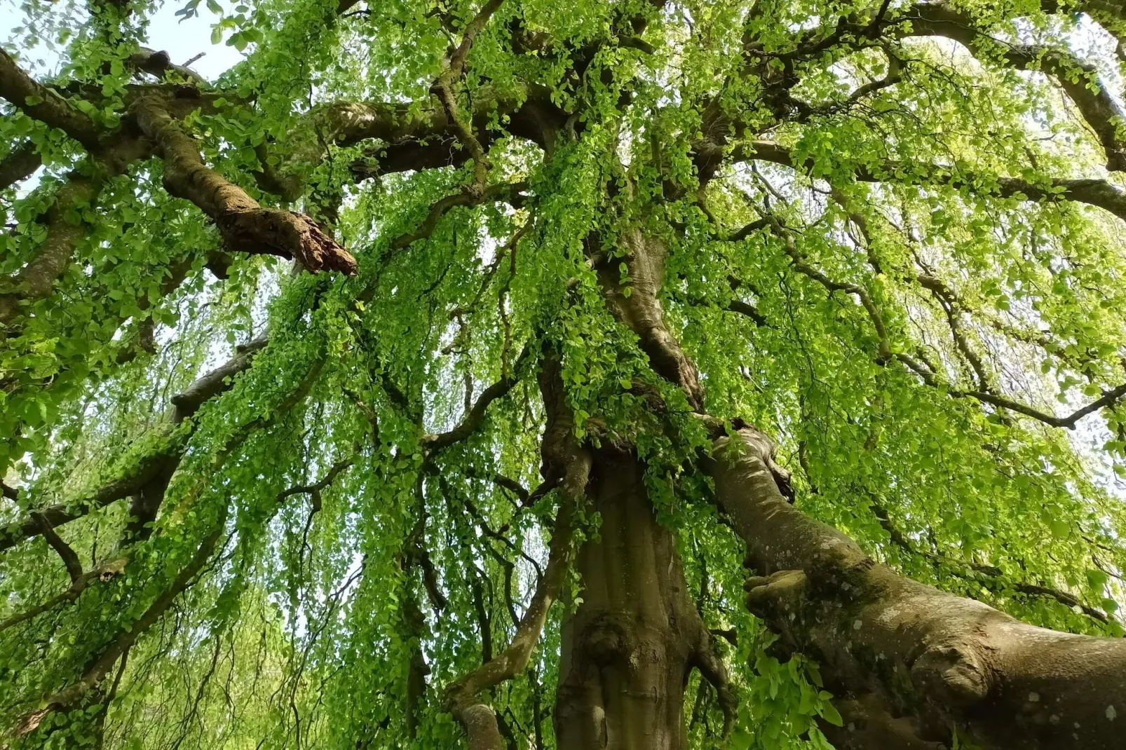 Panoramisch fjordverblijf met spabad-Niet-getagd