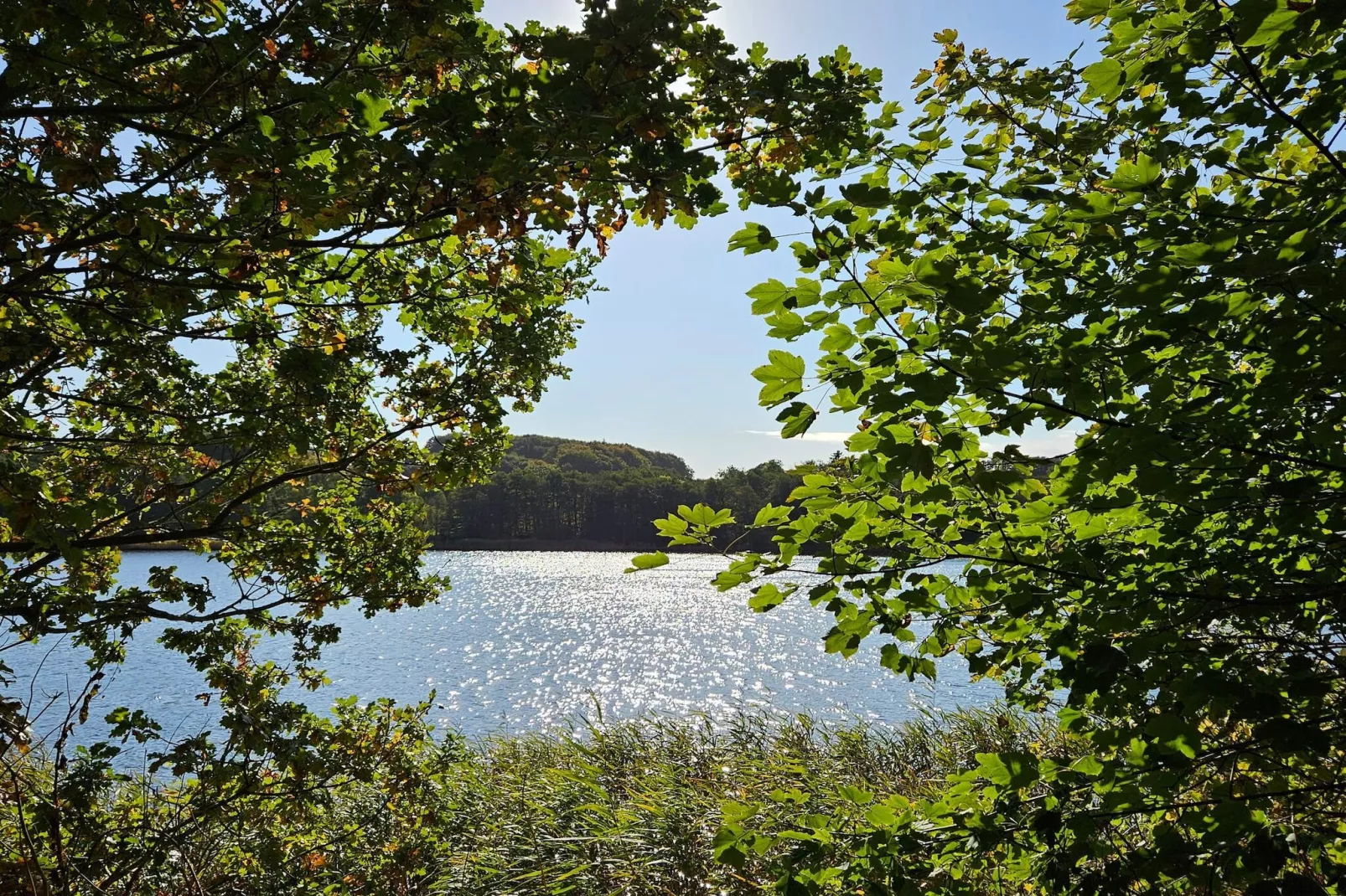 4 Personen vakantie huis in Haderslev