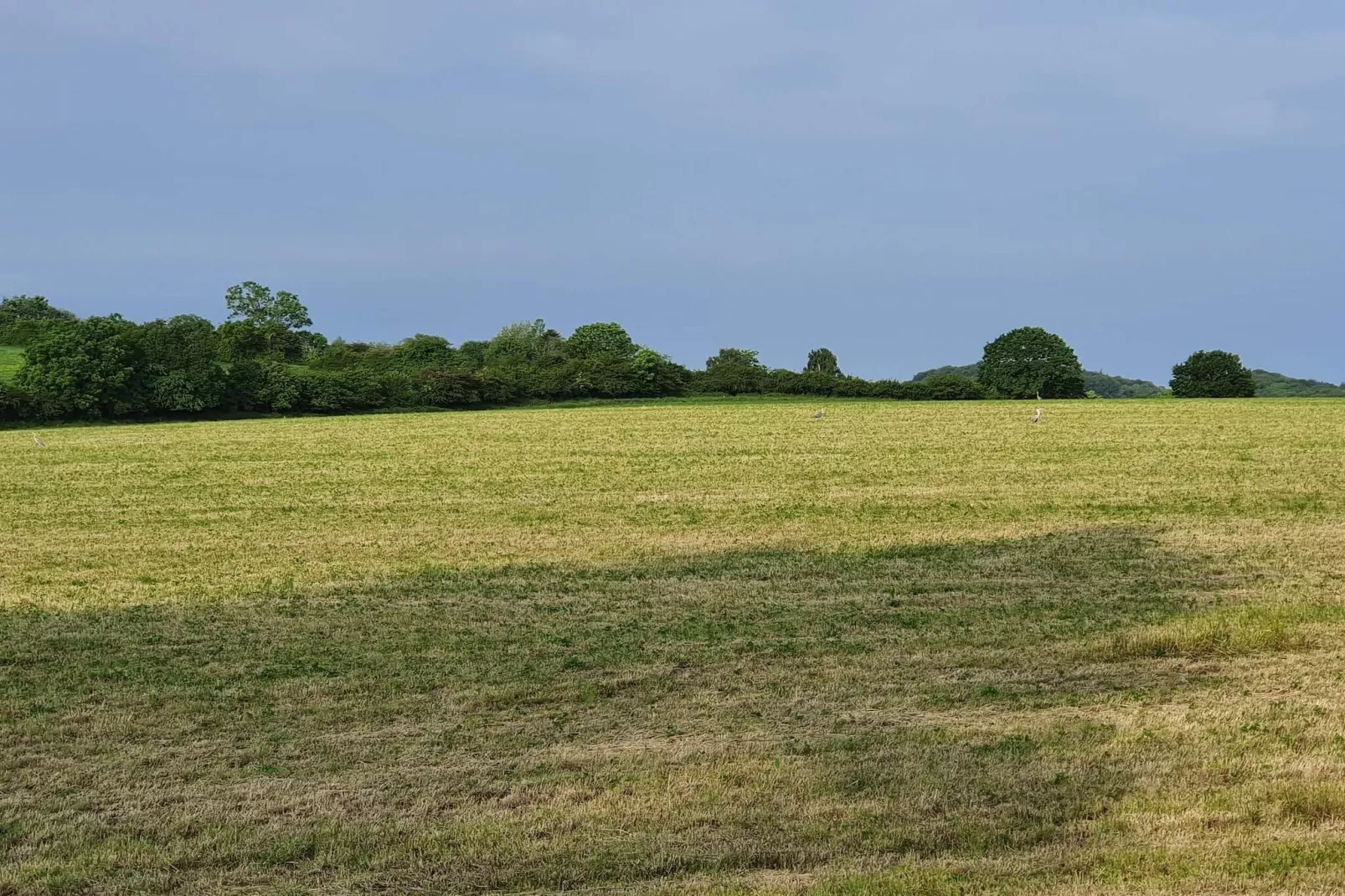 4 Personen vakantie huis in Haderslev