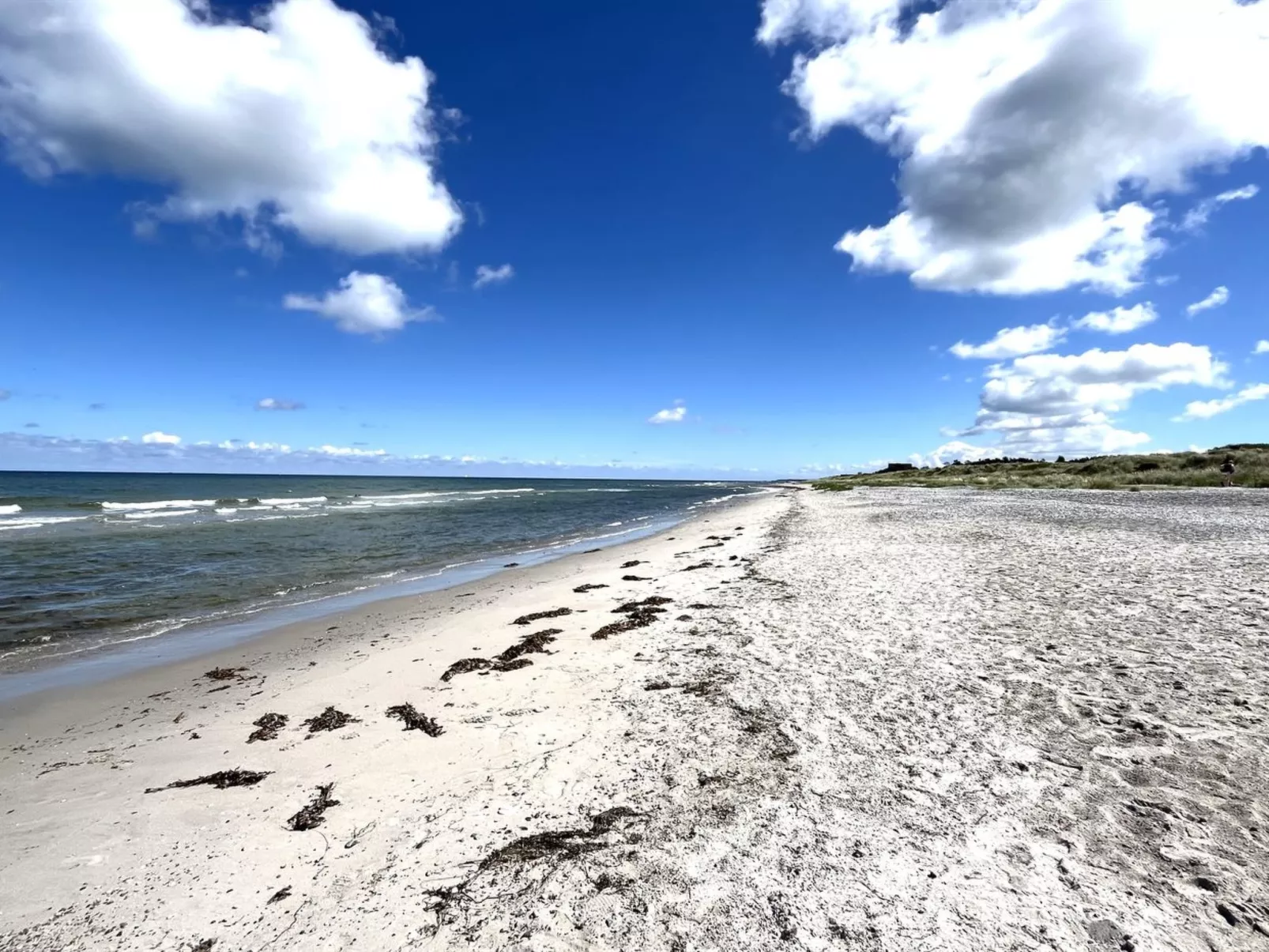 "Galathea" - 175m from the sea