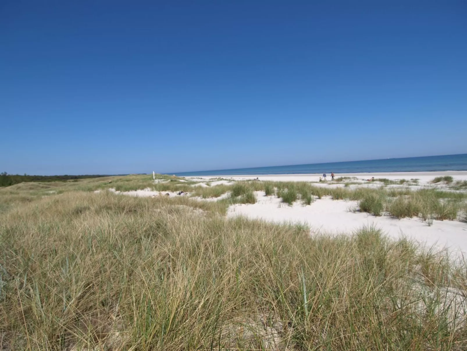 "Amaru" - 500m from the sea