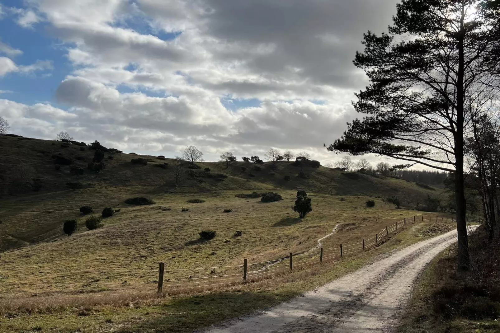 4 Personen vakantie huis in Knebel-Niet-getagd