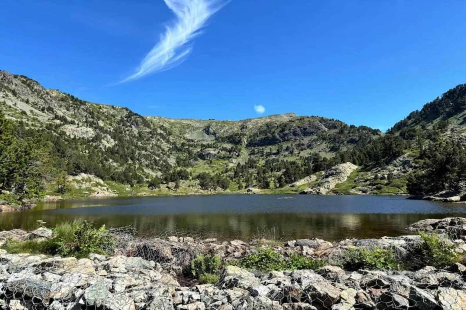 LE VERNON N°1222 - ST4-Gebieden zomer 5km