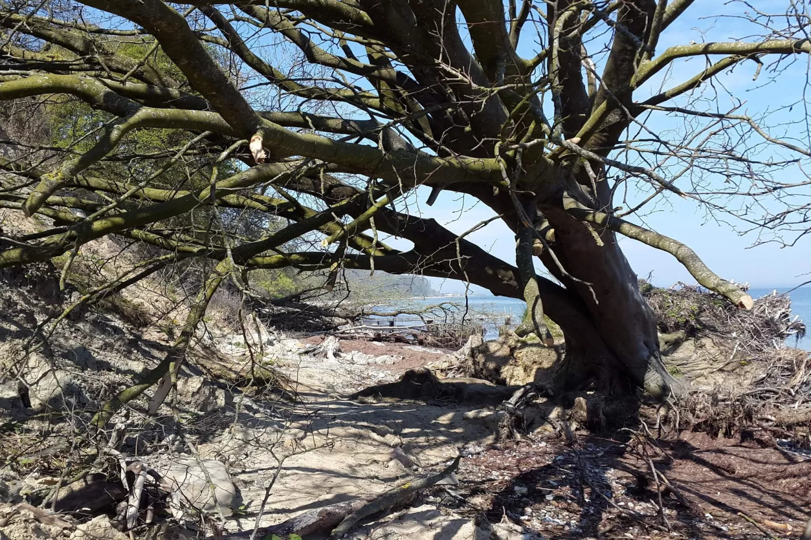 4 sterren vakantie huis in Sydals-Niet-getagd