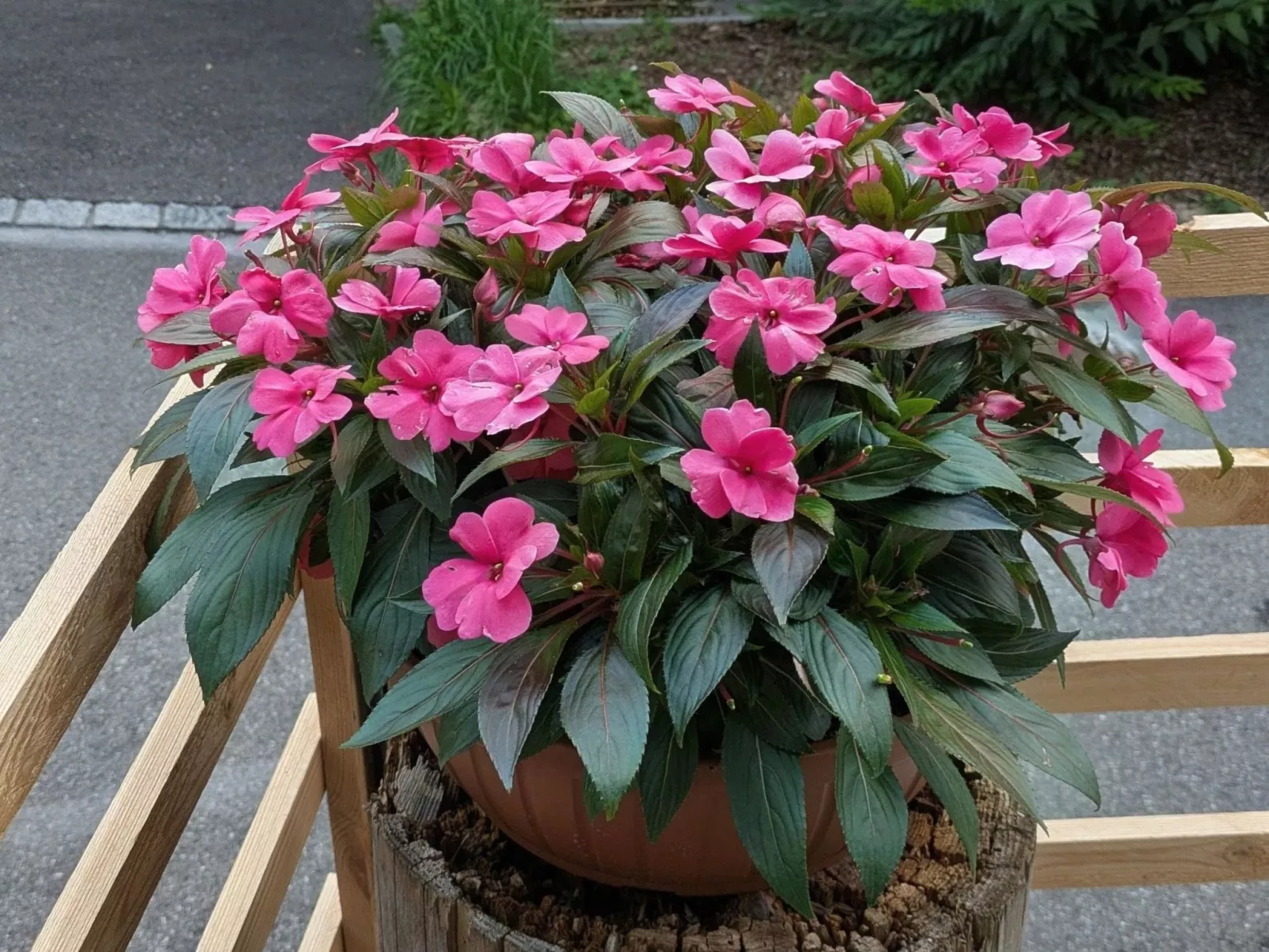 Arlinn Apartment-Binnen