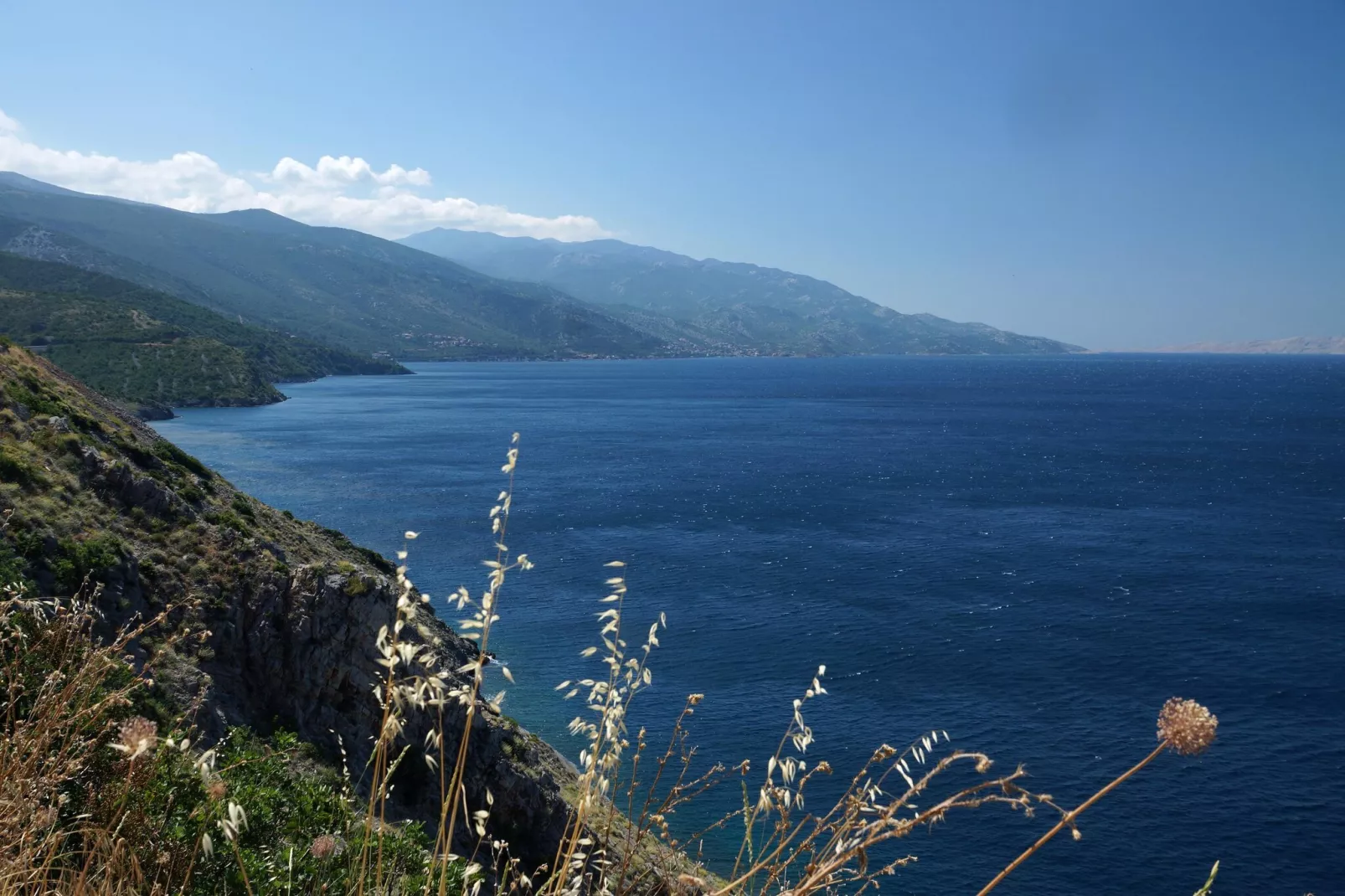 Niko 1-Gebieden zomer 1km
