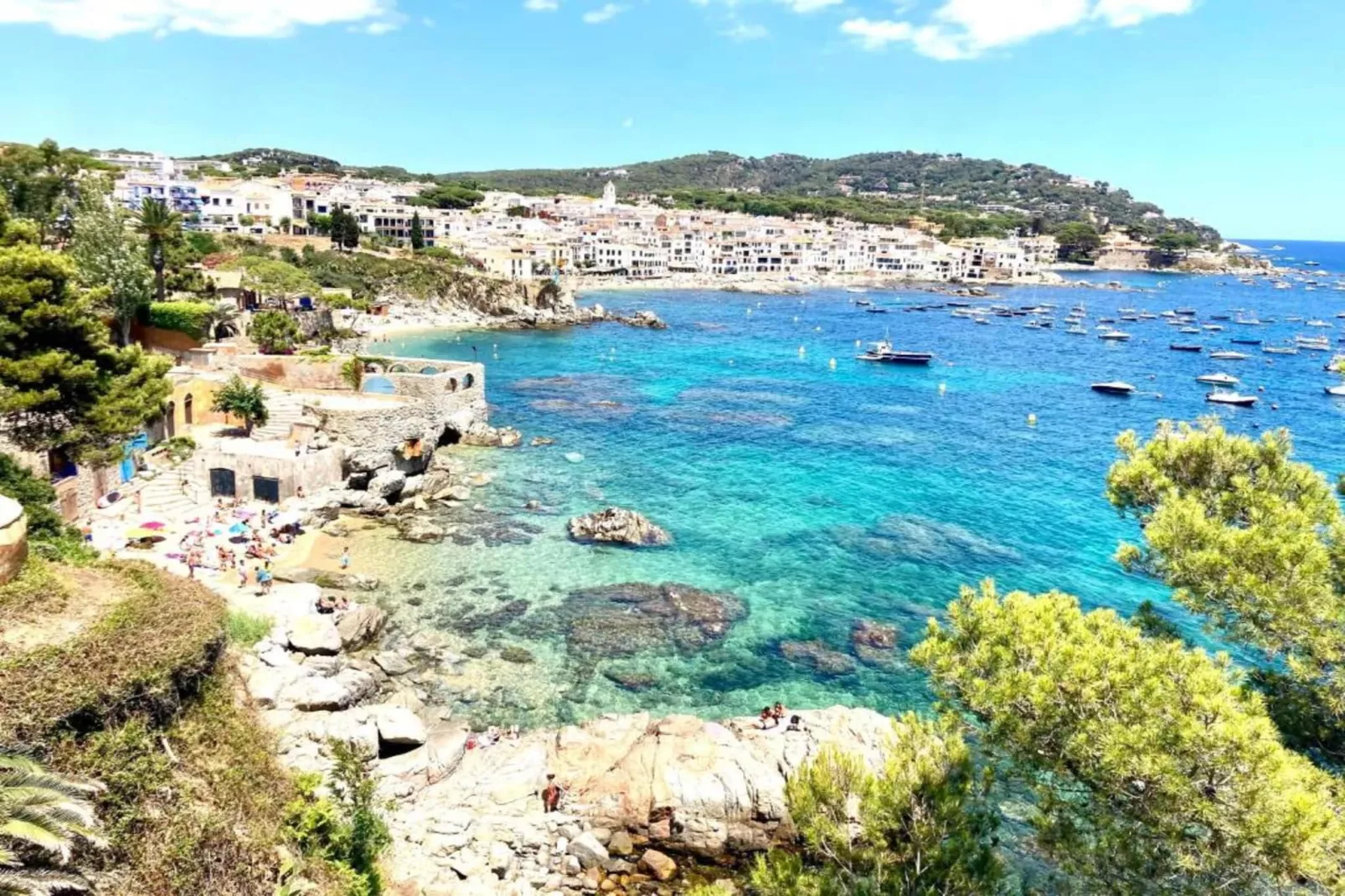 Pastora 2-Gebieden zomer 20km