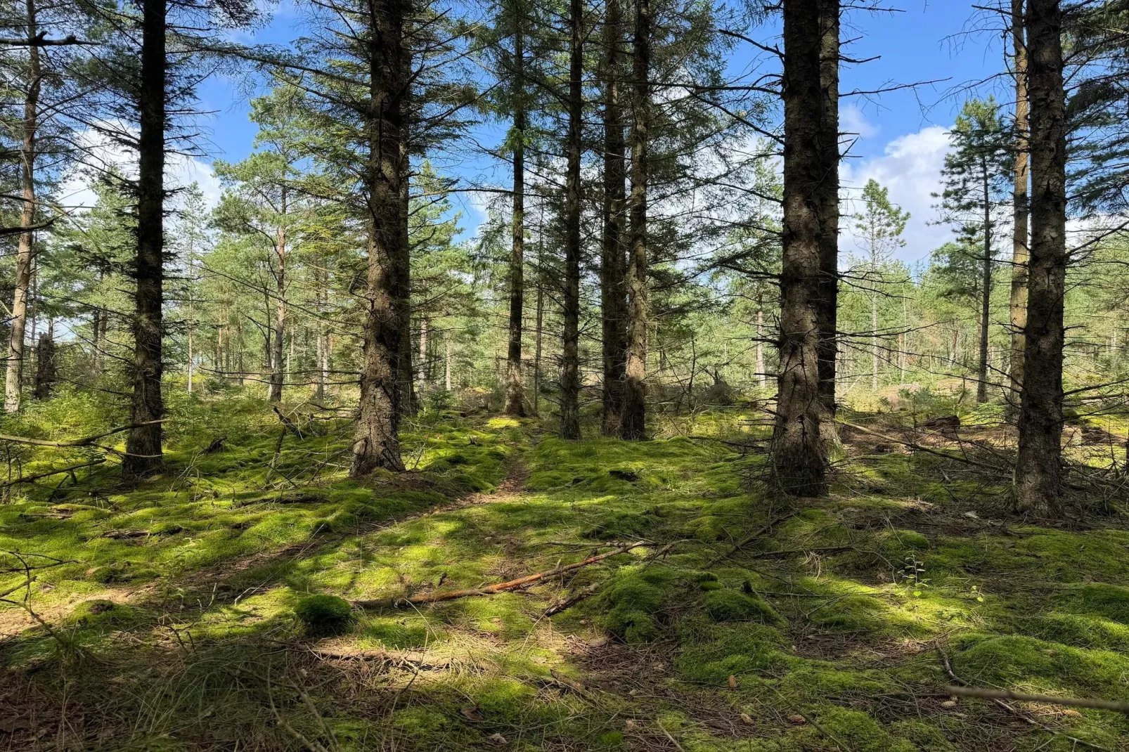 5 Personen vakantie huis in Snedsted-Niet-getagd