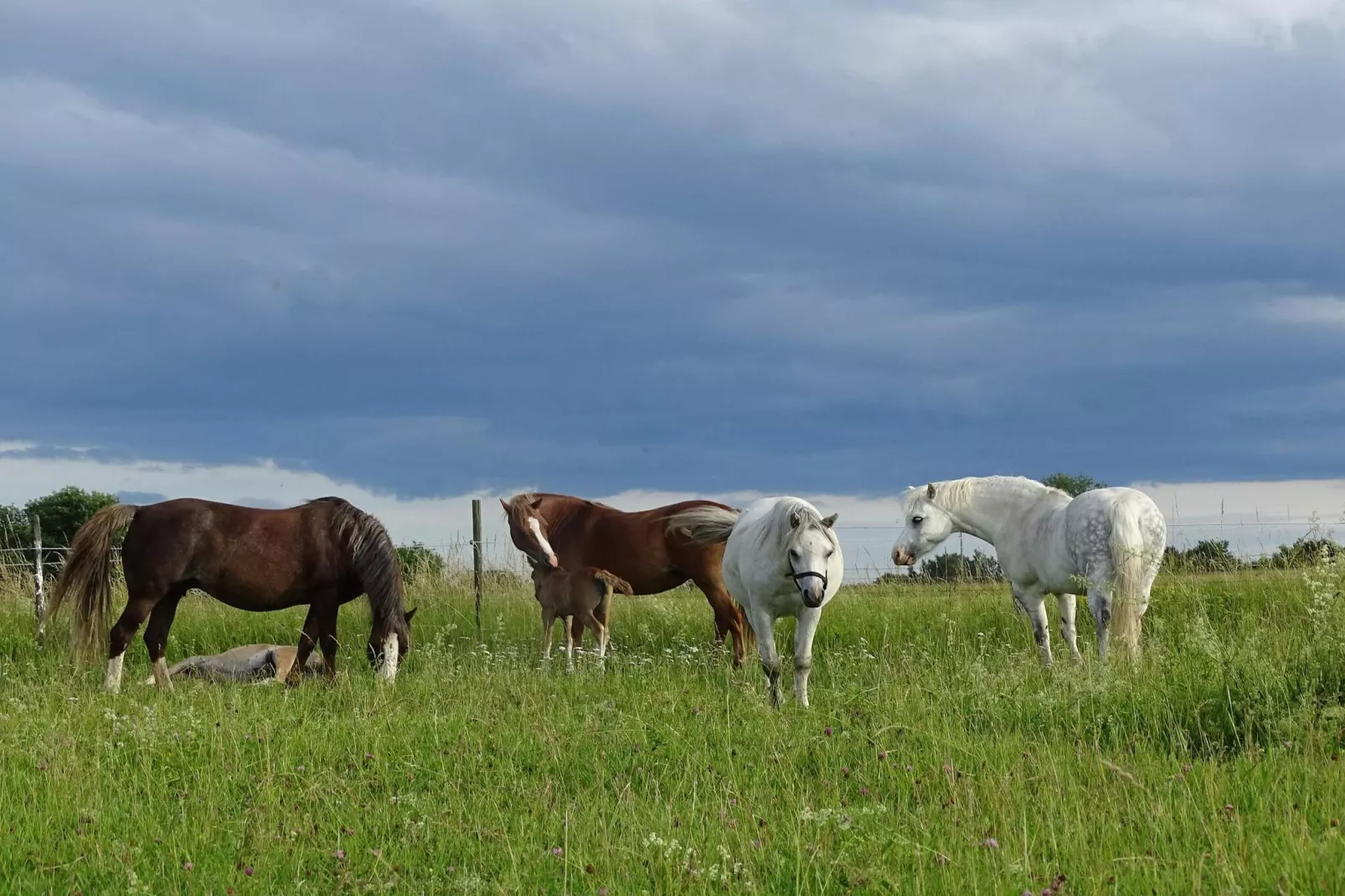 2 Personen vakantie huis in FäRENTUNA-Niet-getagd